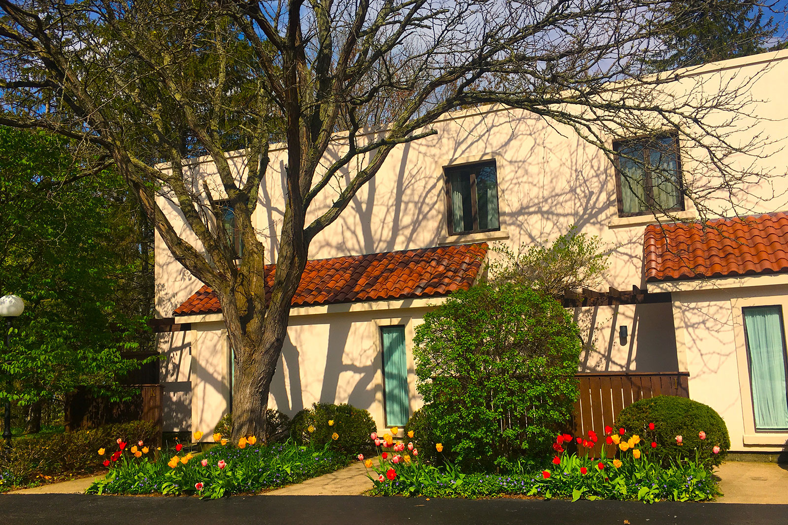 Townhouses at Geneva On The Lake